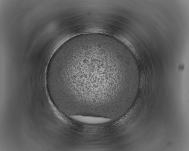 X0000090601039200707311157