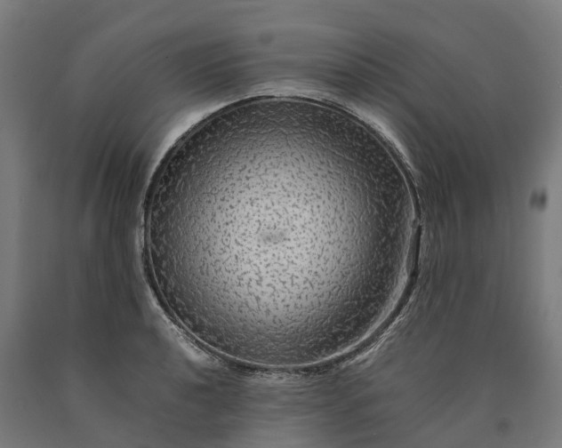 X0000090601040200707311157