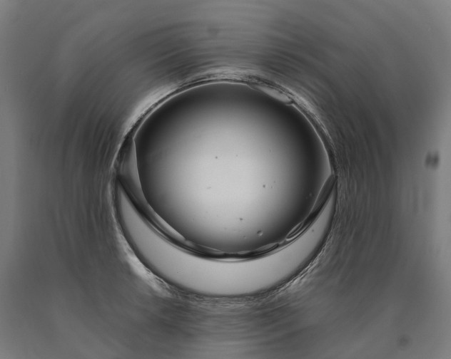 X0000090601042200707311157