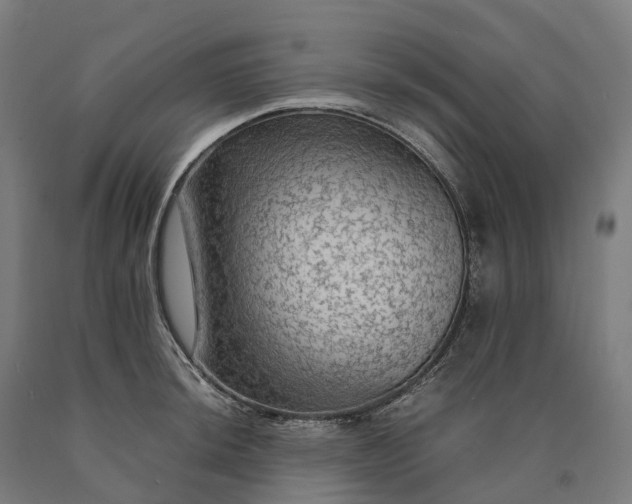 X0000090601044200707311157