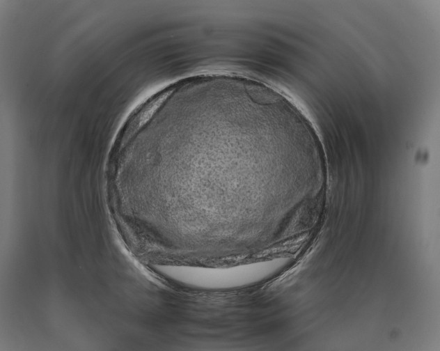 X0000090601045200707311157