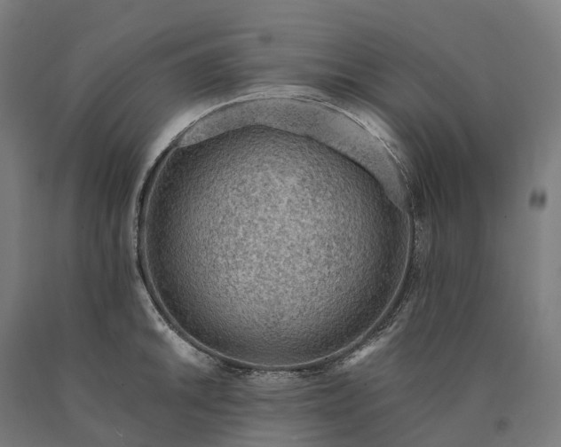 X0000090601046200707311157