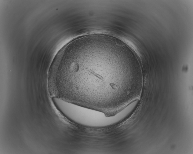 X0000090601047200707311157