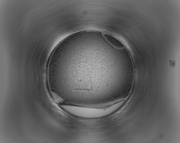 X0000090601048200707311157