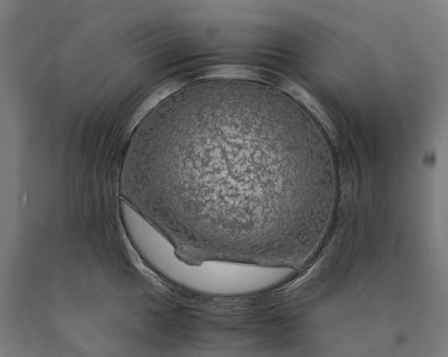 X0000090601049200707311157