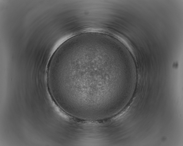 X0000090601050200707311157