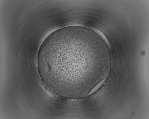 X0000090601051200707311157