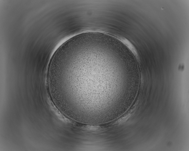 X0000090601052200707311157