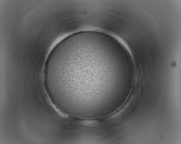 X0000090601053200707311157