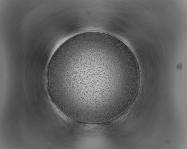 X0000090601056200707311157