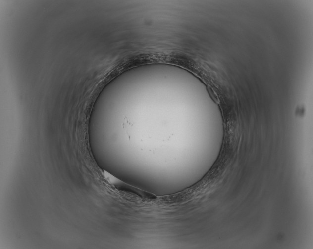 X0000090601057200707311157