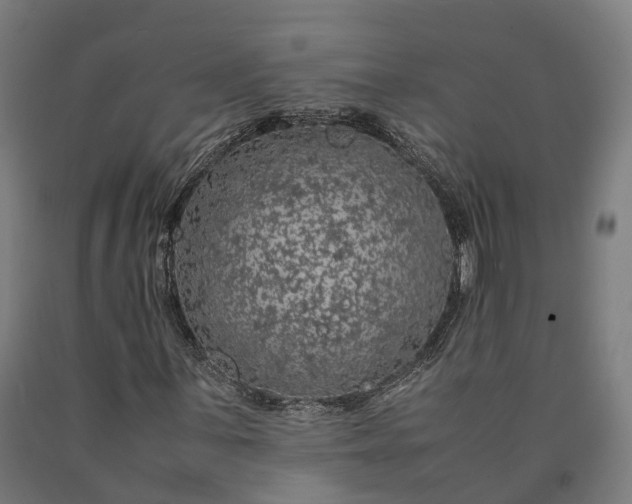 X0000090601059200707311157