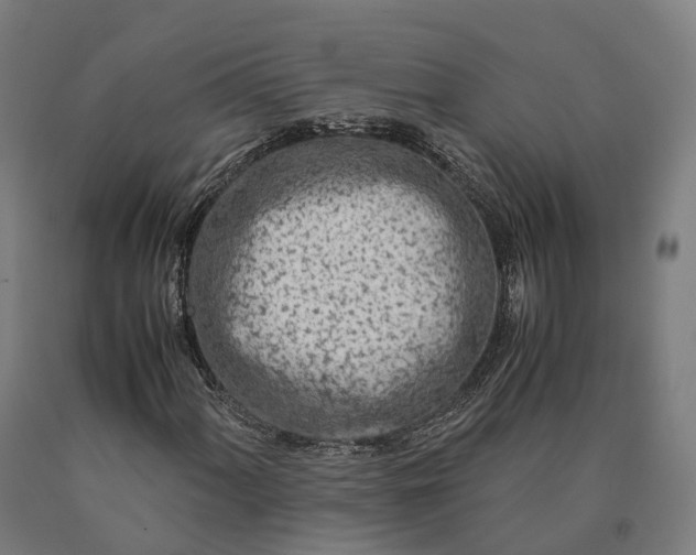 X0000090601060200707311157