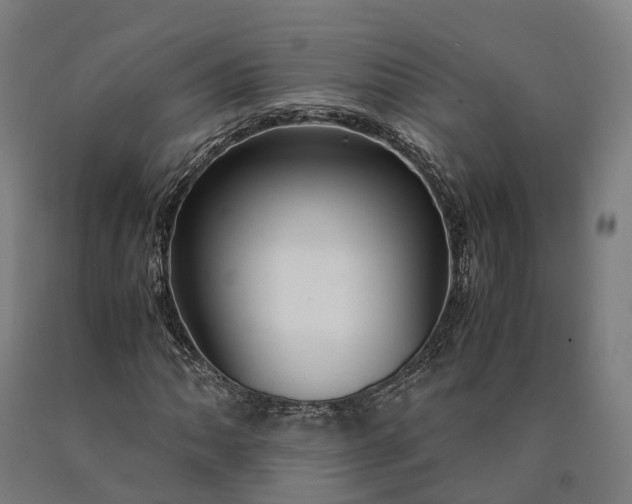 X0000090601062200707311156