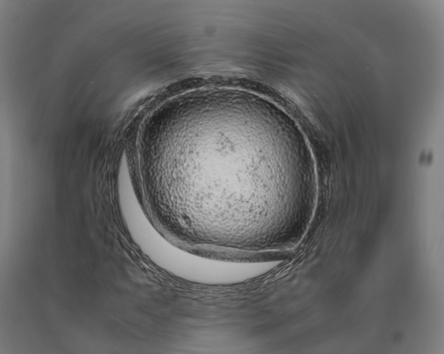 X0000090601063200707311156