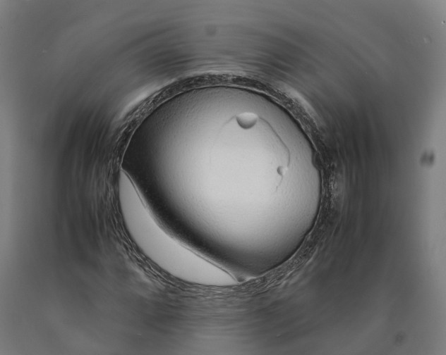 X0000090601064200707311156