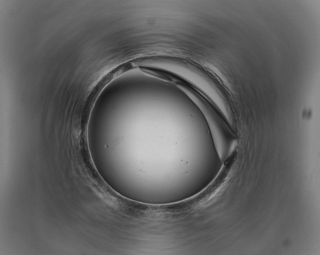 X0000090601065200707311156