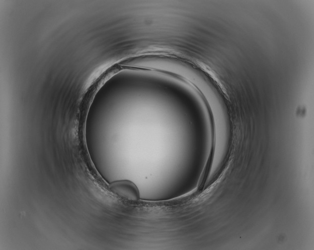 X0000090601066200707311156