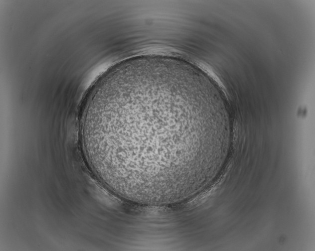 X0000090601067200707311156