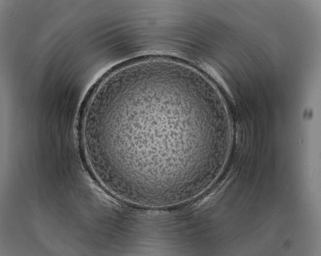 X0000090601068200707311156