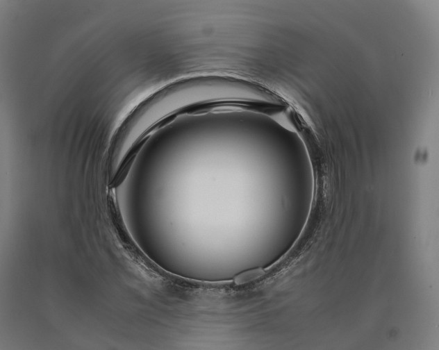 X0000090601069200707311156