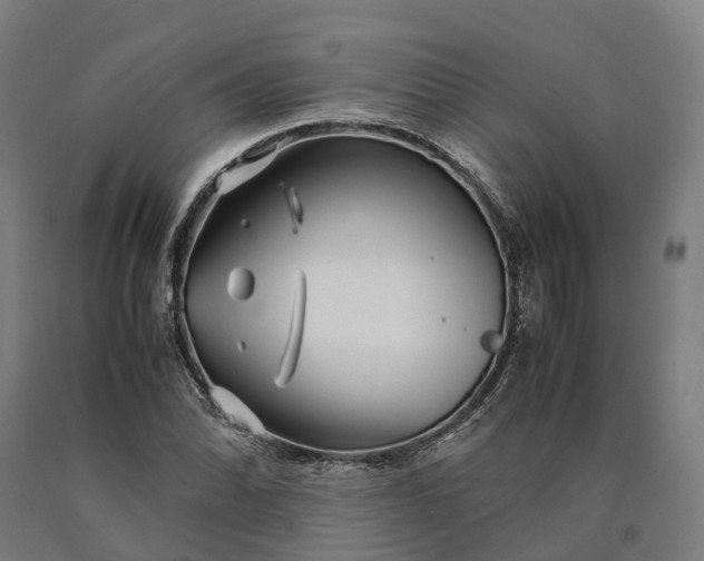 X0000090601070200707311156