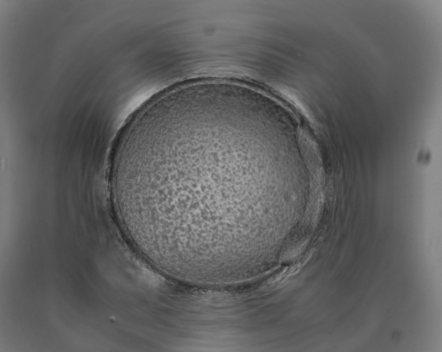 X0000090601071200707311156