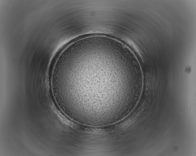 X0000090601072200707311156