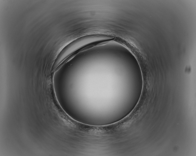 X0000090601073200707311156