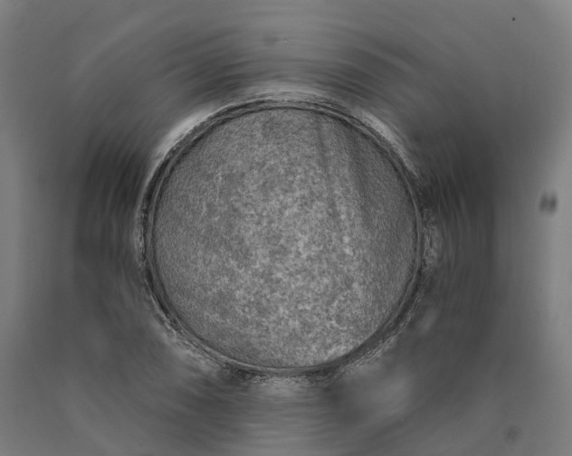 X0000090601074200707311156