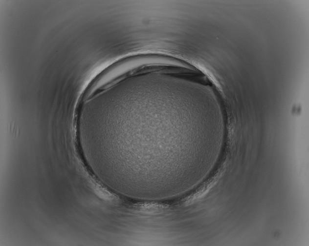 X0000090601077200707311156