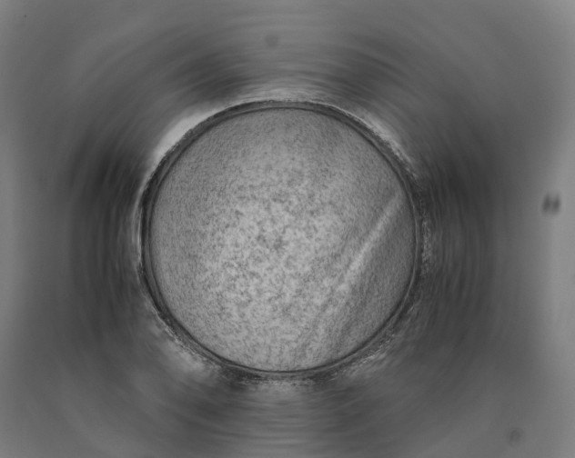 X0000090601078200707311156