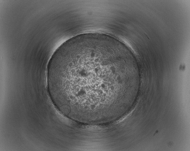 X0000090601079200707311156