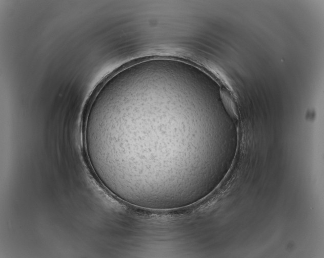 X0000090601080200707311156