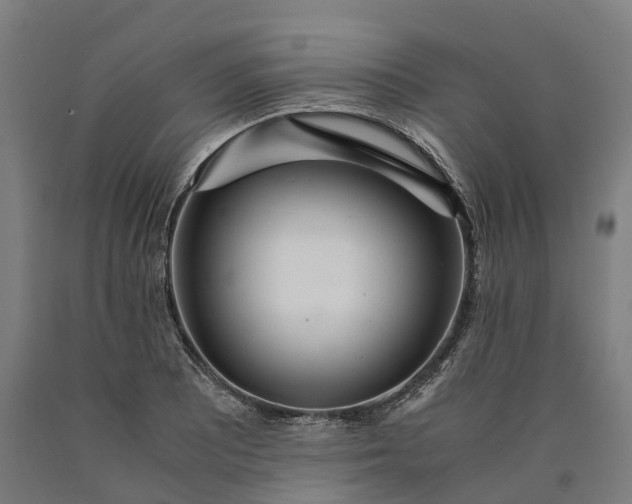 X0000090601081200707311156