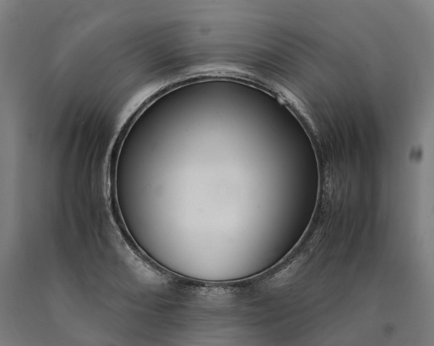 X0000090601082200707311156