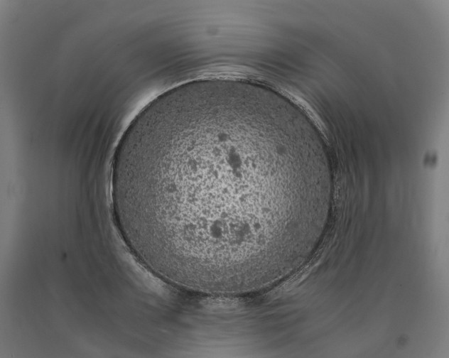 X0000090601083200707311156