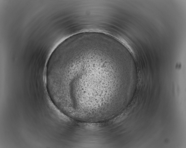 X0000090601084200707311156