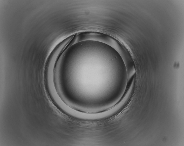 X0000090601085200707311156