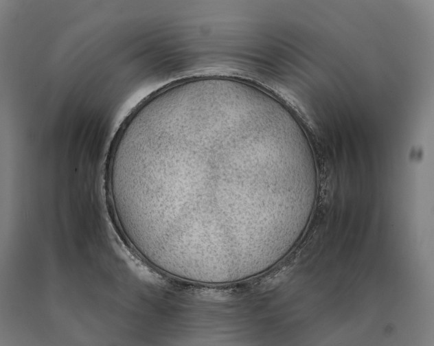 X0000090601086200707311156