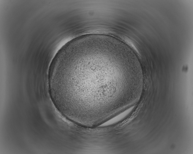 X0000090601087200707311156