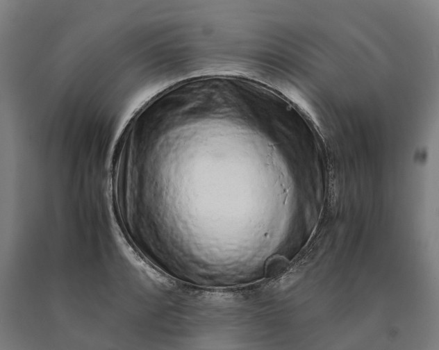 X0000090601088200707311156