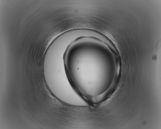 X0000090601089200707311156