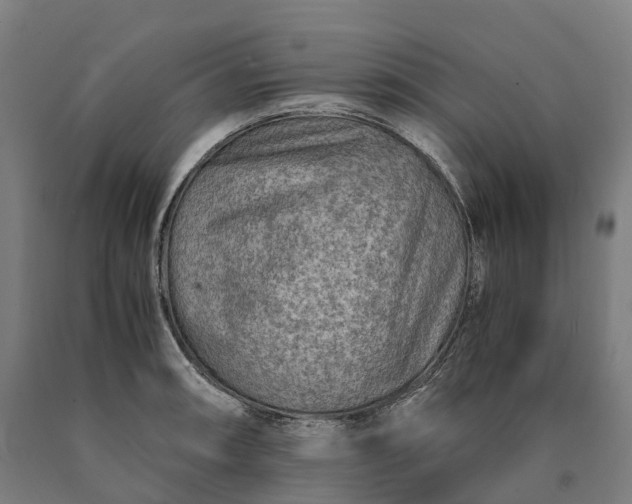 X0000090601090200707311156