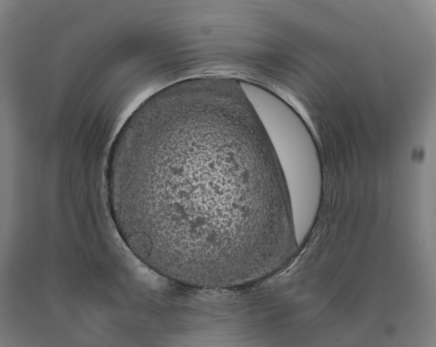 X0000090601091200707311156