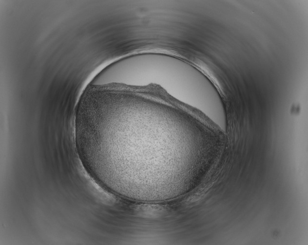 X0000090601092200707311156