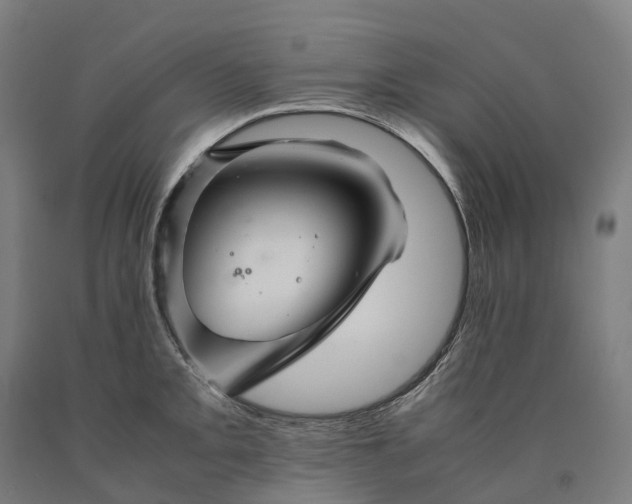 X0000090601093200707311156