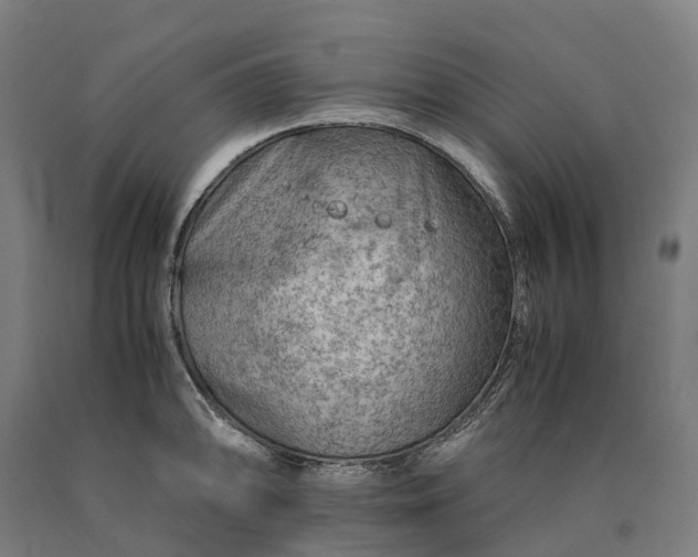 X0000090601094200707311156