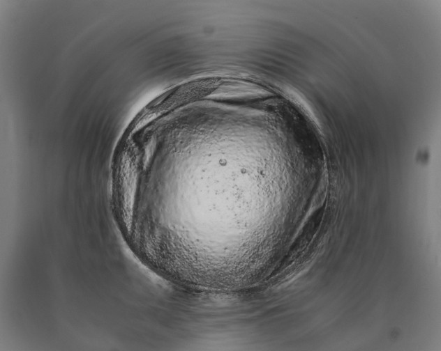 X0000090601095200707311156