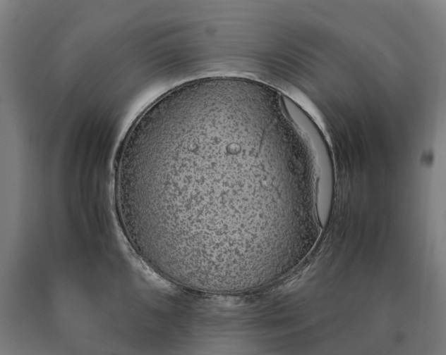 X0000090601096200707311156